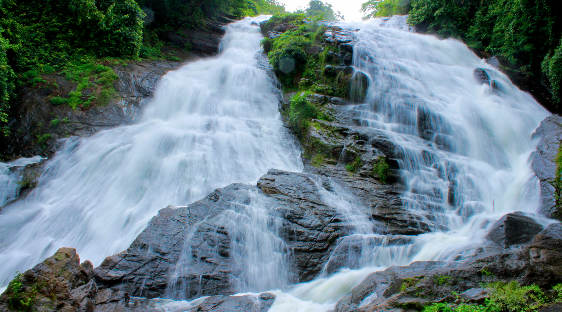 The Four Flows That Define Your Firm’s Future-and How to Turn the Tide