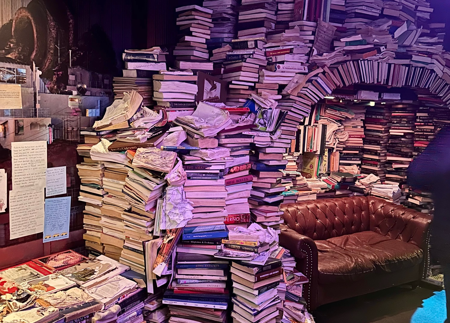 11 Most Read Articles of the Week