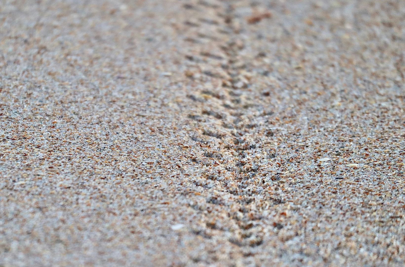 Why a 60% Cut Probability Became the Market’s Line in the Sand—and What Comes After FOMC