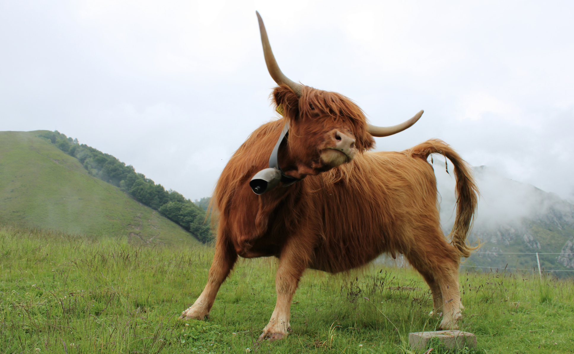 Why the Bull Market Still Has Room To Run