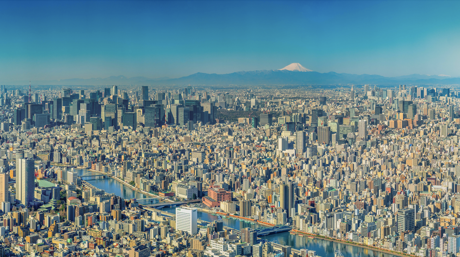 What’s Behind the Volatility in Japanese Markets?