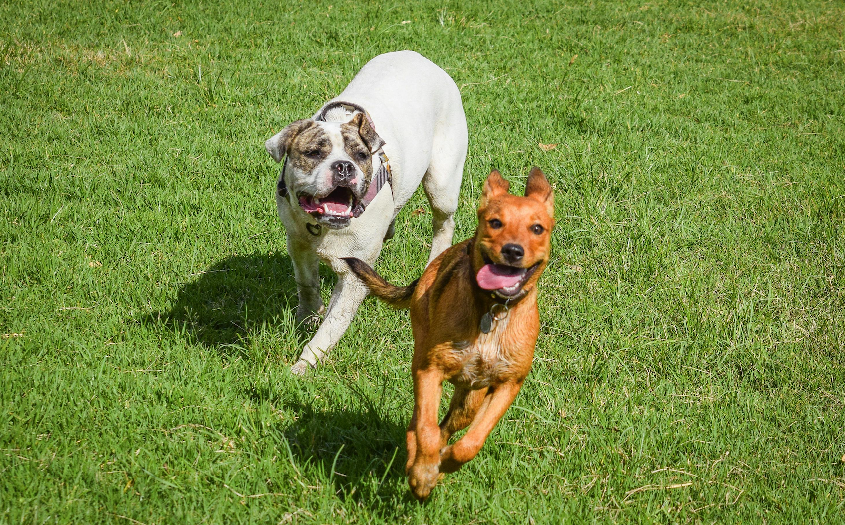 Why Chasing Clients Is Hurting Your Credibility