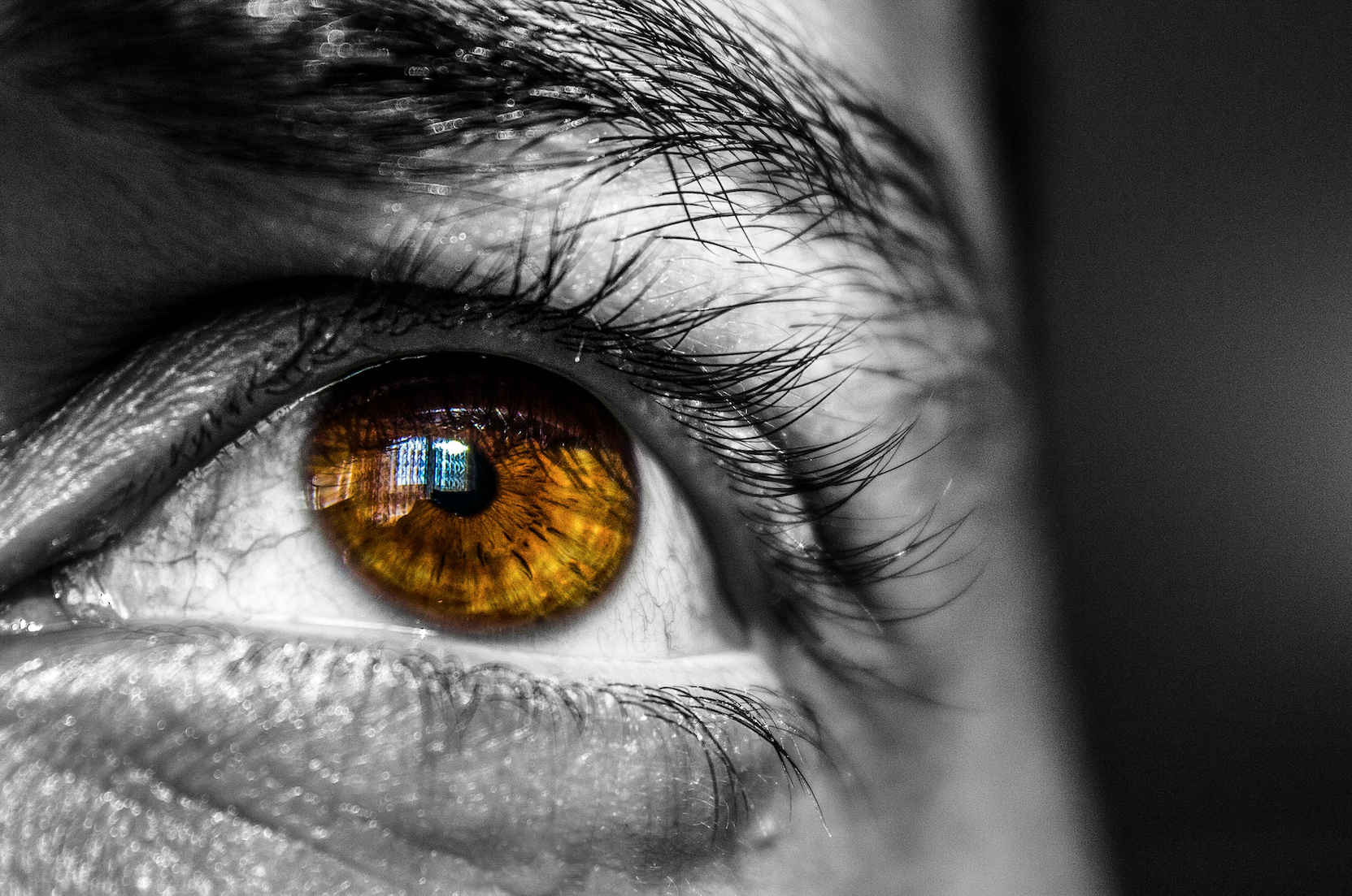 The Hidden Upside: How Market Turbulence Fuels Emerging Equity Gains