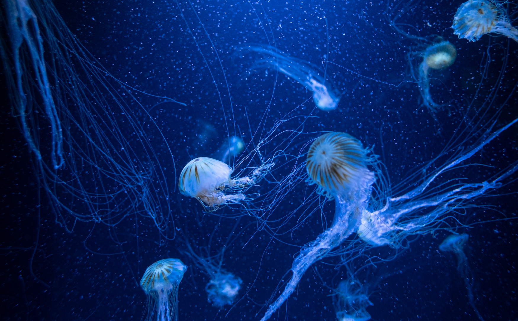 Markets Look Quiet—but Beneath the Surface, Something Is Shifting