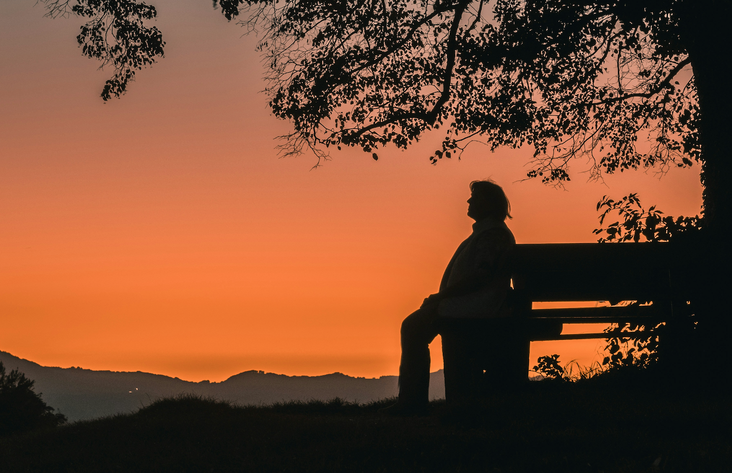 Peace of Mind Over Profits: What Clients Value Most