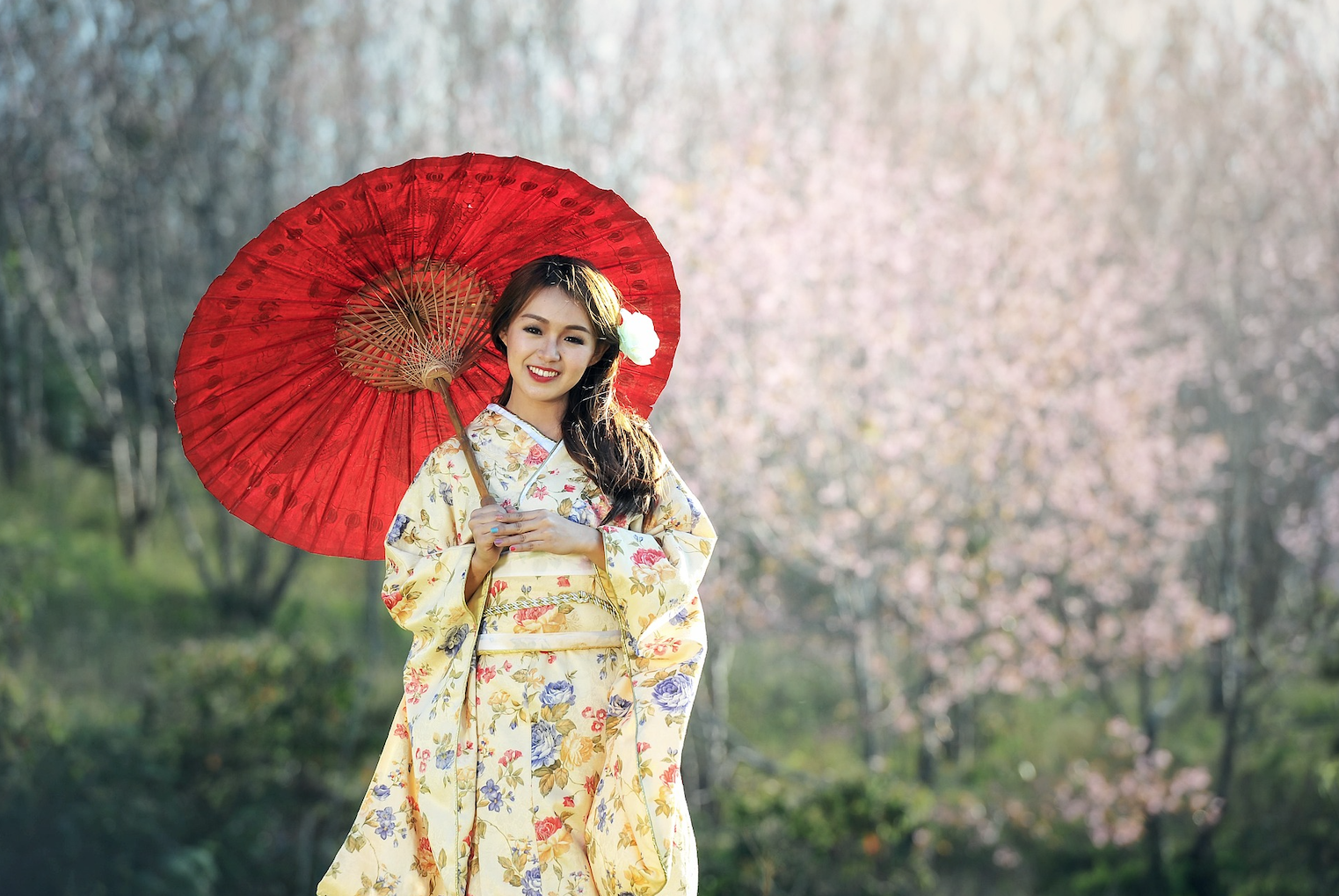 A 19th-Century Kimono Maker Just Turned Into a Bitcoin Treasury—Here’s Why It Matters