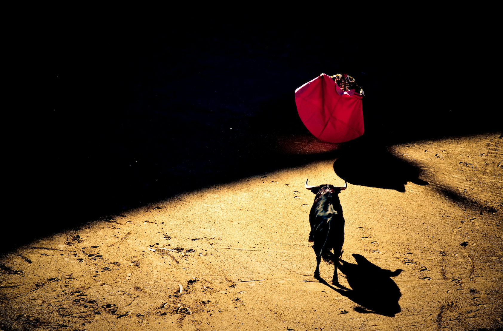 A Historic Bull Market Changes the Rules: Three Portfolio Levers for 2026