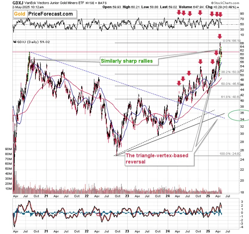 Gold, Miners, Commodity Investors: Watch Out for Those Reversals! - Image 6