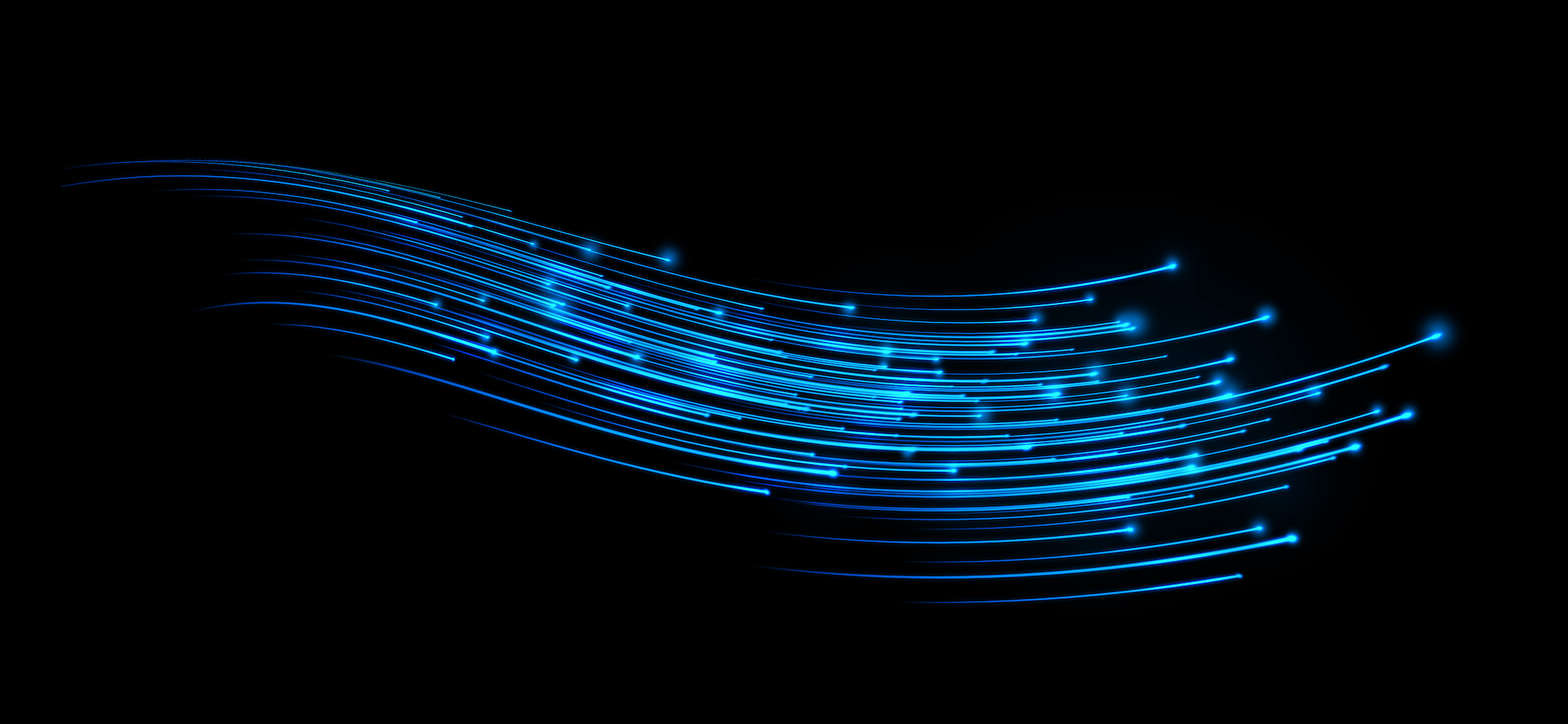 Crypto Investors Take the Long View in Multiple Ways