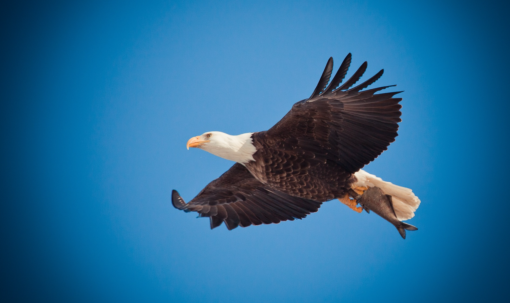 History Says Stocks Soar After Fed Eases—Will 2025 Be Any Different?