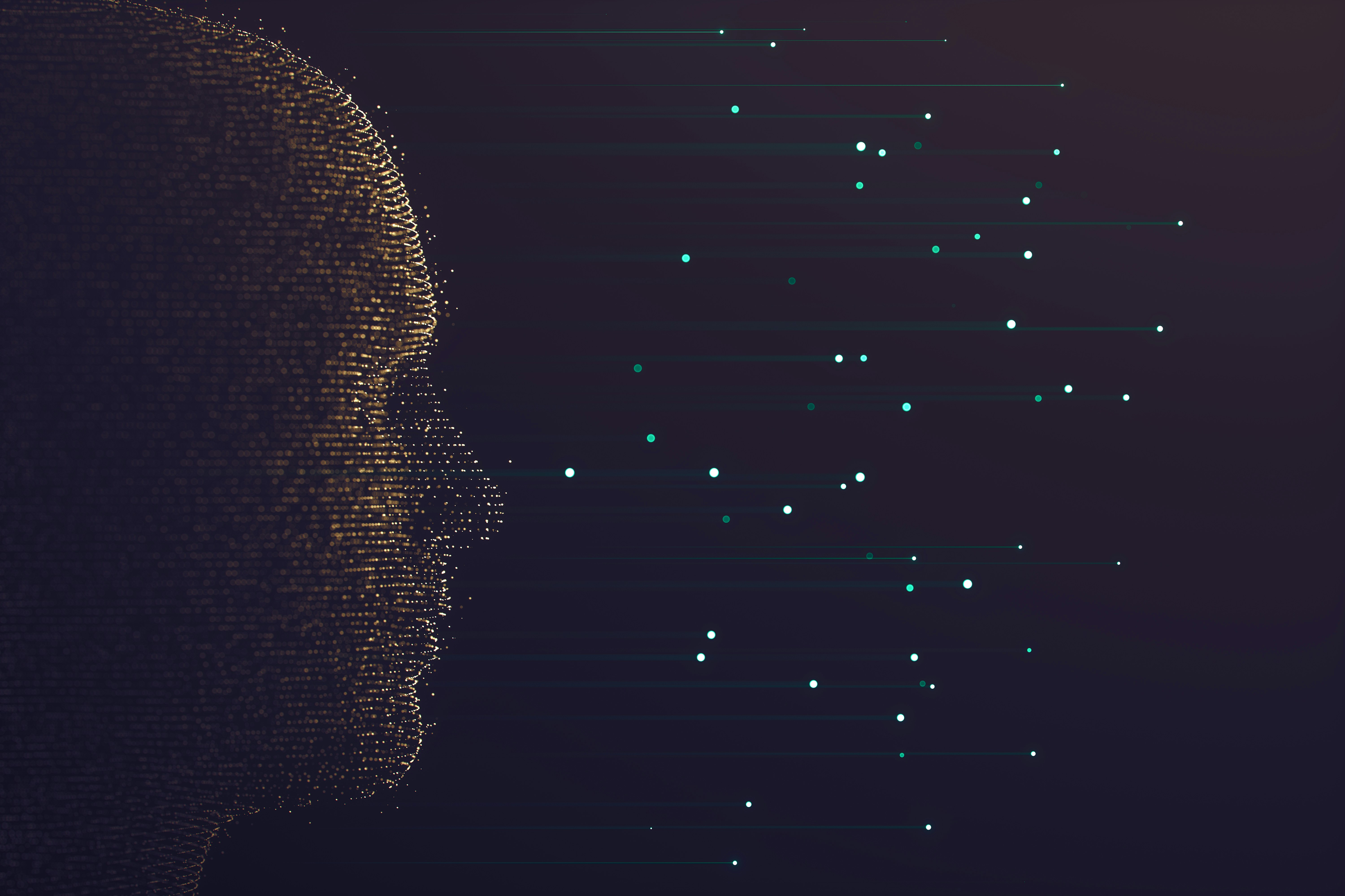 Beginner’s Mind: A Better Response to Uncertain Times