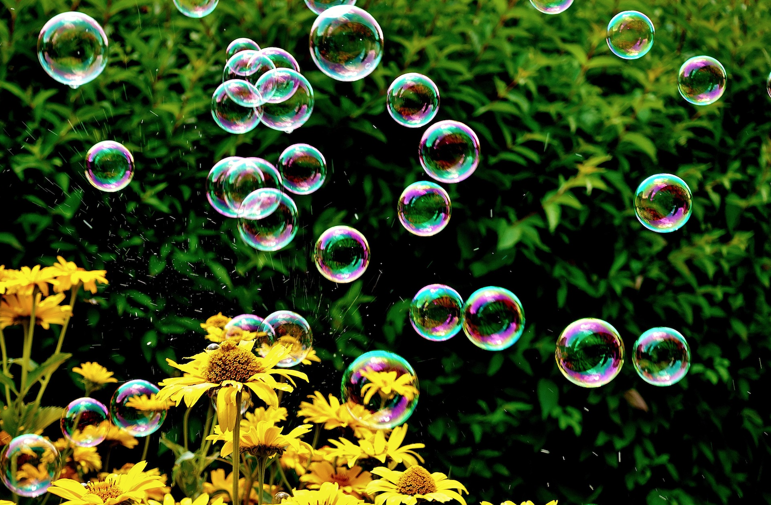 How Cultivating Your Future Like a Garden Leads to Exponential Growth