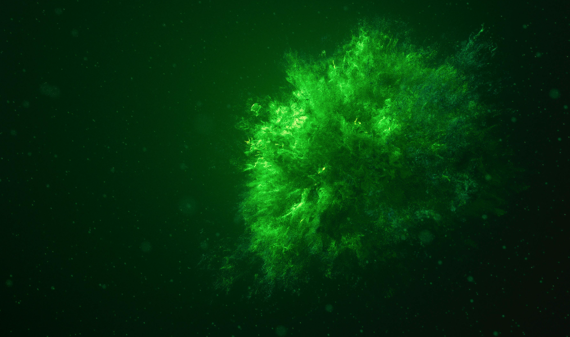 Greenwashing Risks: Key Implications for Legal Professionals