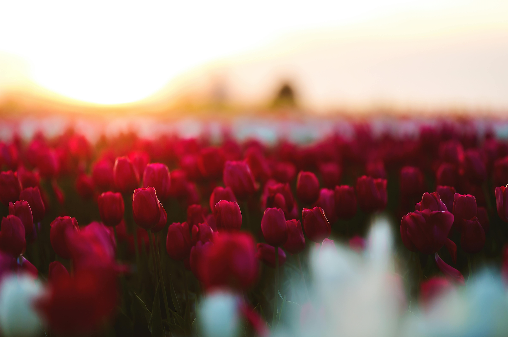 11 Most Read Articles of the Week