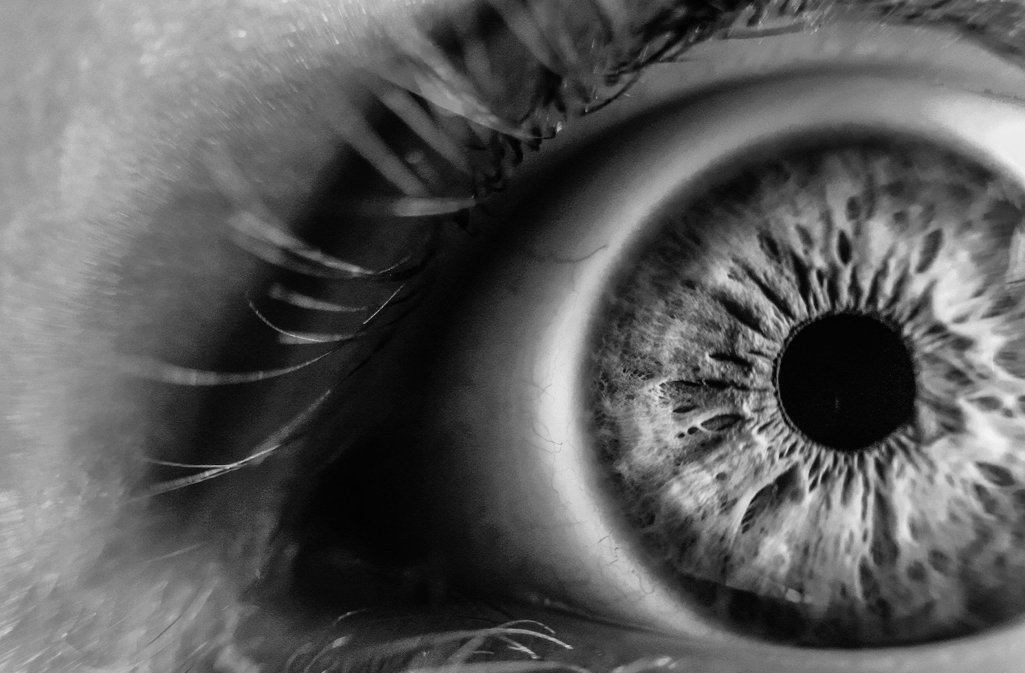 Clarity Is the New Capital: The Hidden Barrier Holding Back Small Businesses