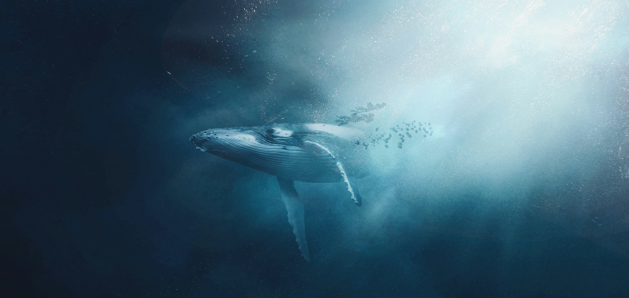Disruption Isn’t Doom—DeepSeek Shows It Drives Innovation