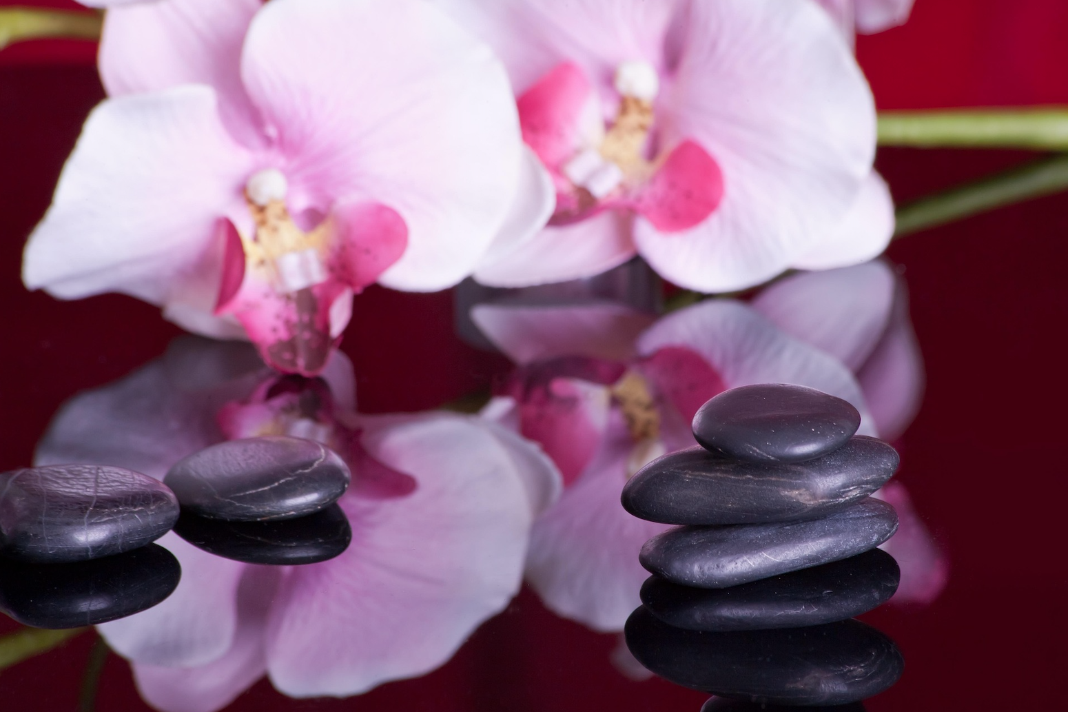Wellness Isn’t a Benefit—It’s a Way of Working