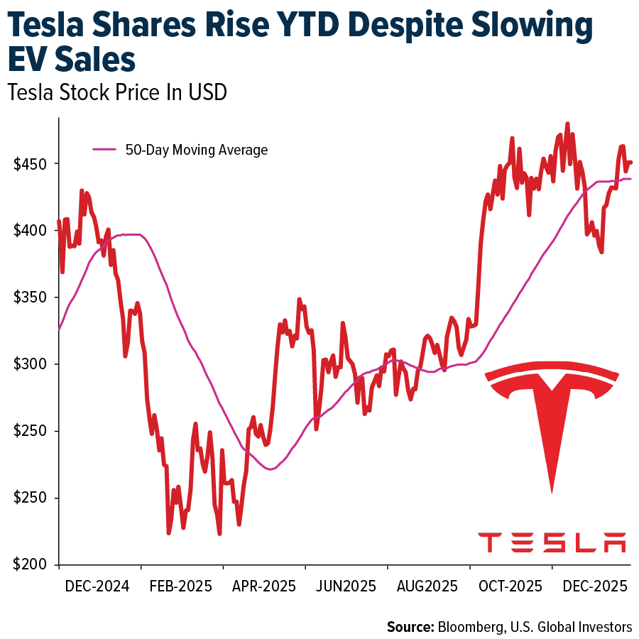 Tesla Shares Rise YTD Despite Slowing EV Sales