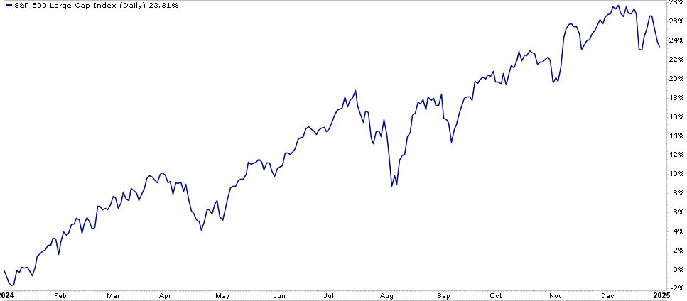 S&P 500 2024 market performance