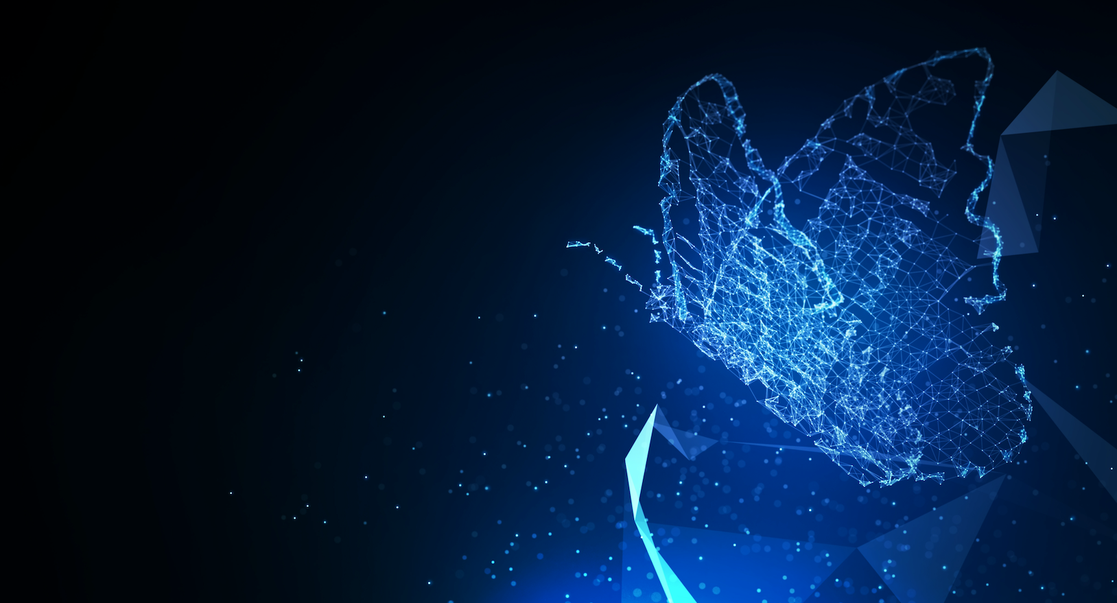 AI Innovation Triggers Software Repricing Across Public and Private Markets