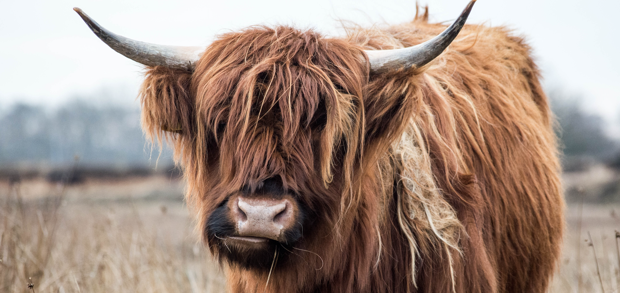 10 Best Days – A Meme for Every Bull Market