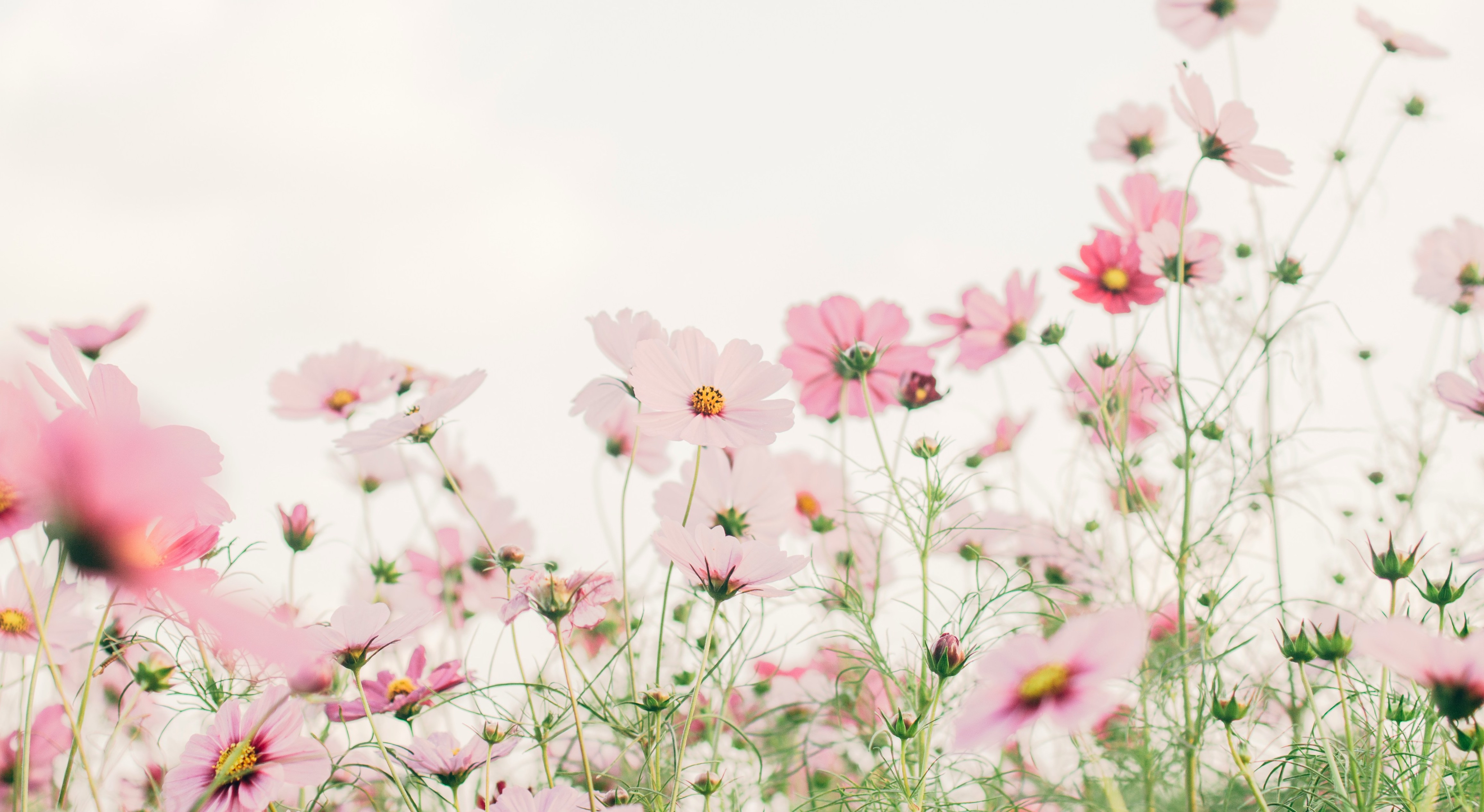 Fresh Start: Your Financial Spring Cleaning Game Plan