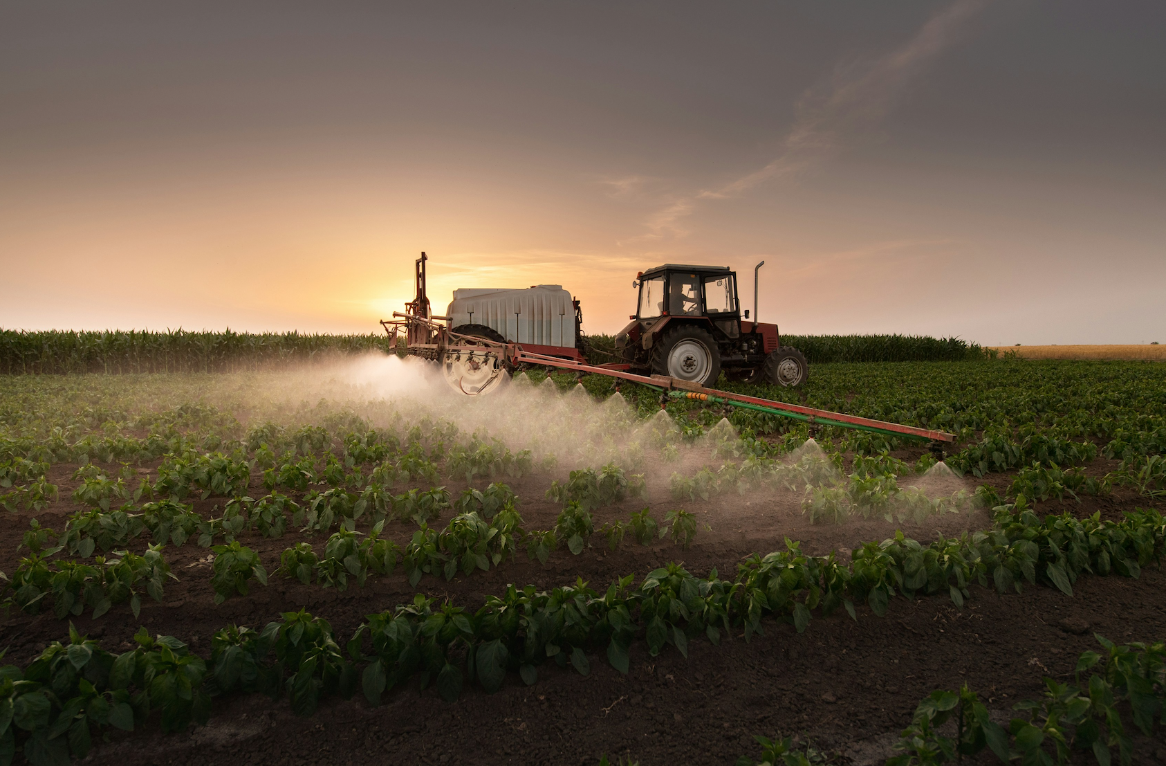 AI Loses Momentum While Agriculture and Materials Gain Relative Strength