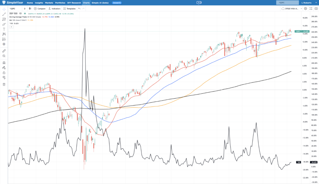 2025 Market Volatility