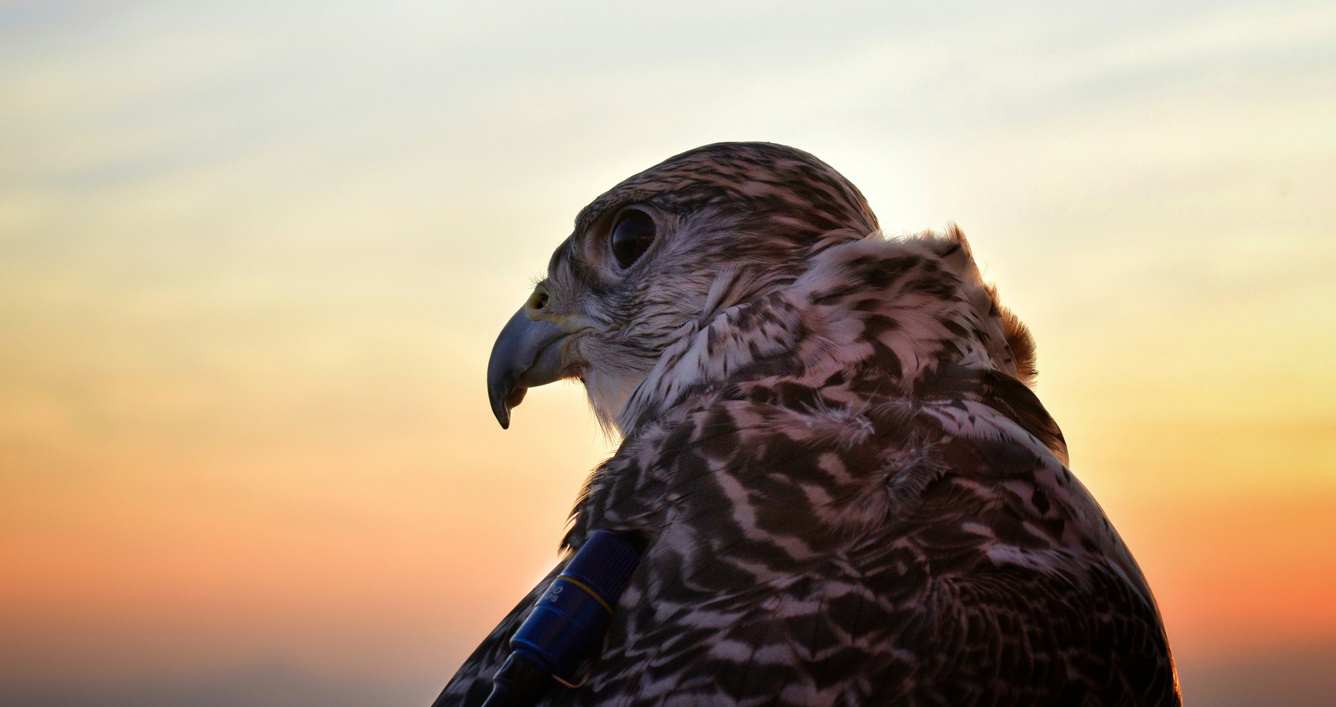 Central Banks Turn Hawkish Again as Market Assumptions Unravel
