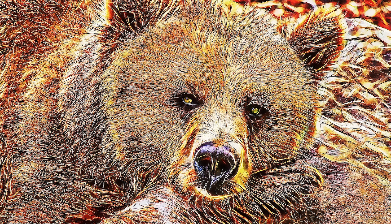 Surging Bearish Sentiment: A Warning Sign or Overreaction?