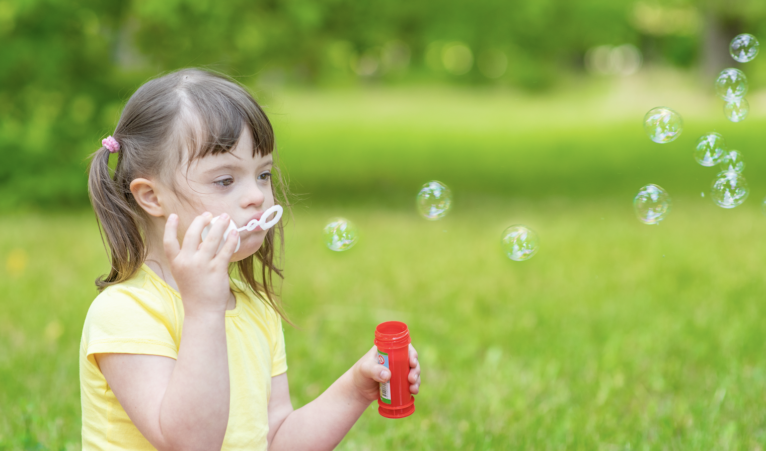 4 Differences Between a Supplemental Needs Trust and a Special Needs Trust