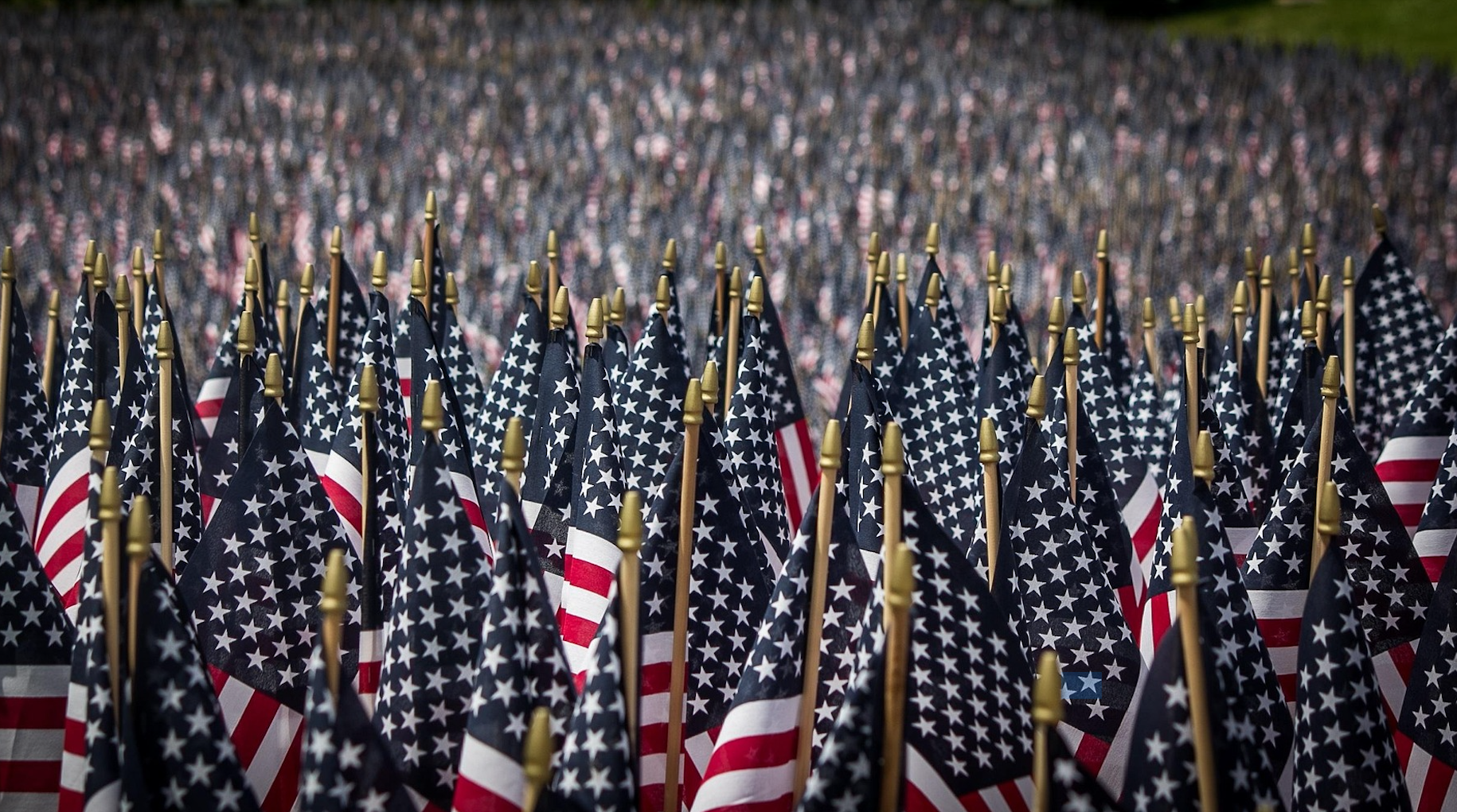 Is Your Financial Planner’s Political Bias Costing You?
