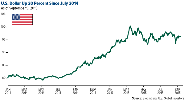 US Dollar Up 20 Percent Since July 2014