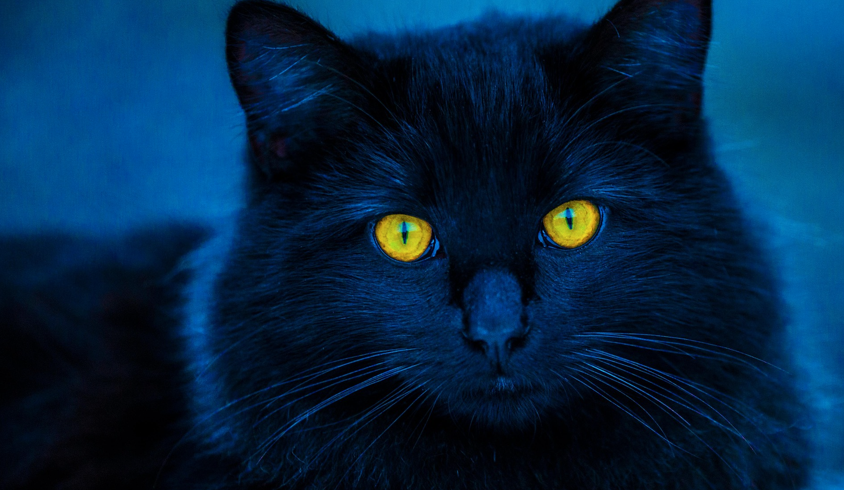Why September Spooks the Markets — And What Makes This Year Different