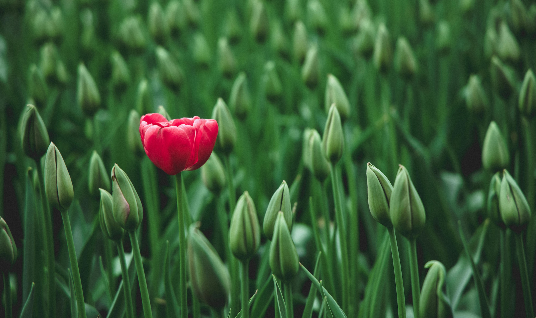 Everyone Talks. Few Deliver. Here’s How To Prove You’re Different