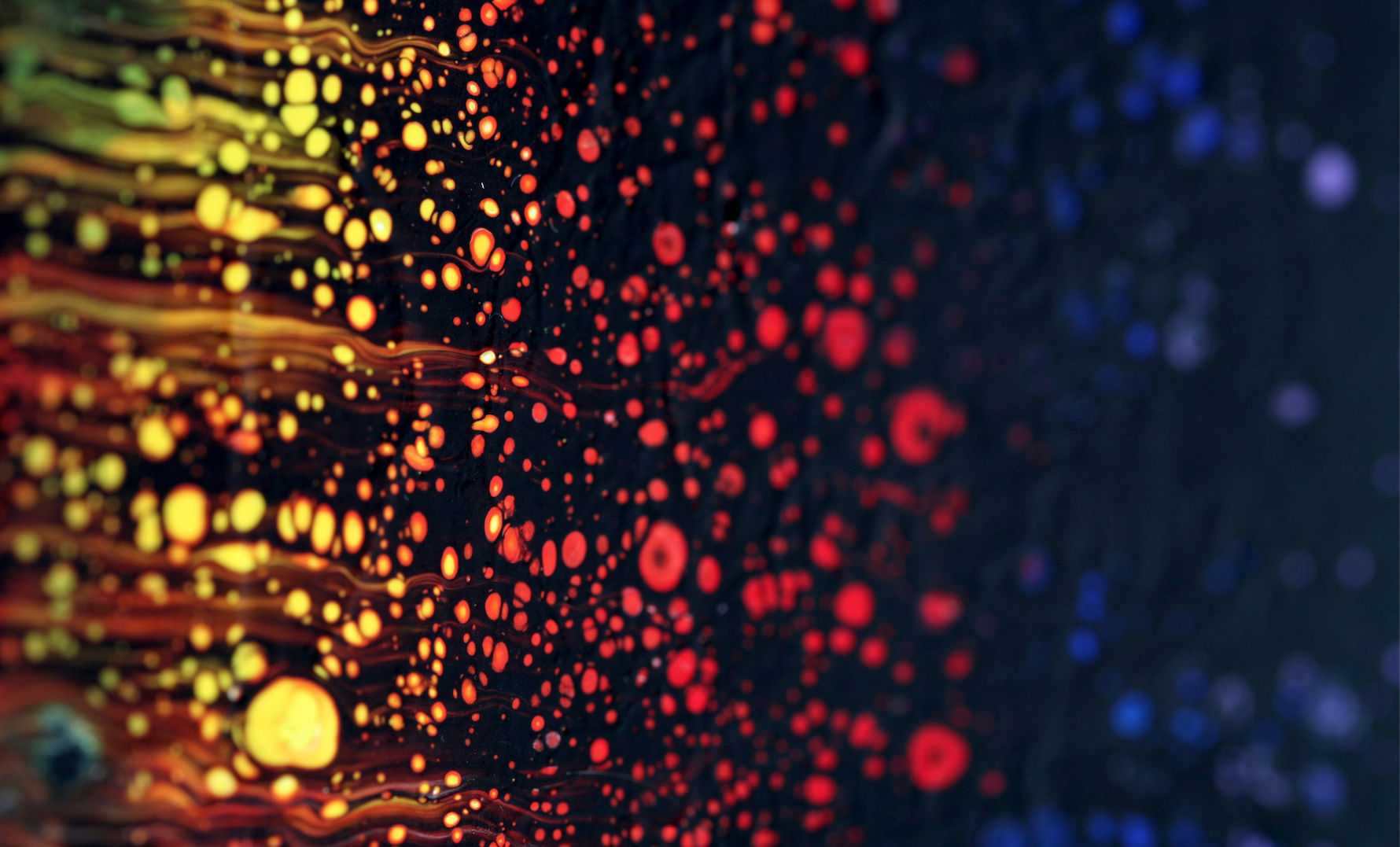 The ‘Perfect Disruptor’ Formula Behind History’s Biggest Market Winners