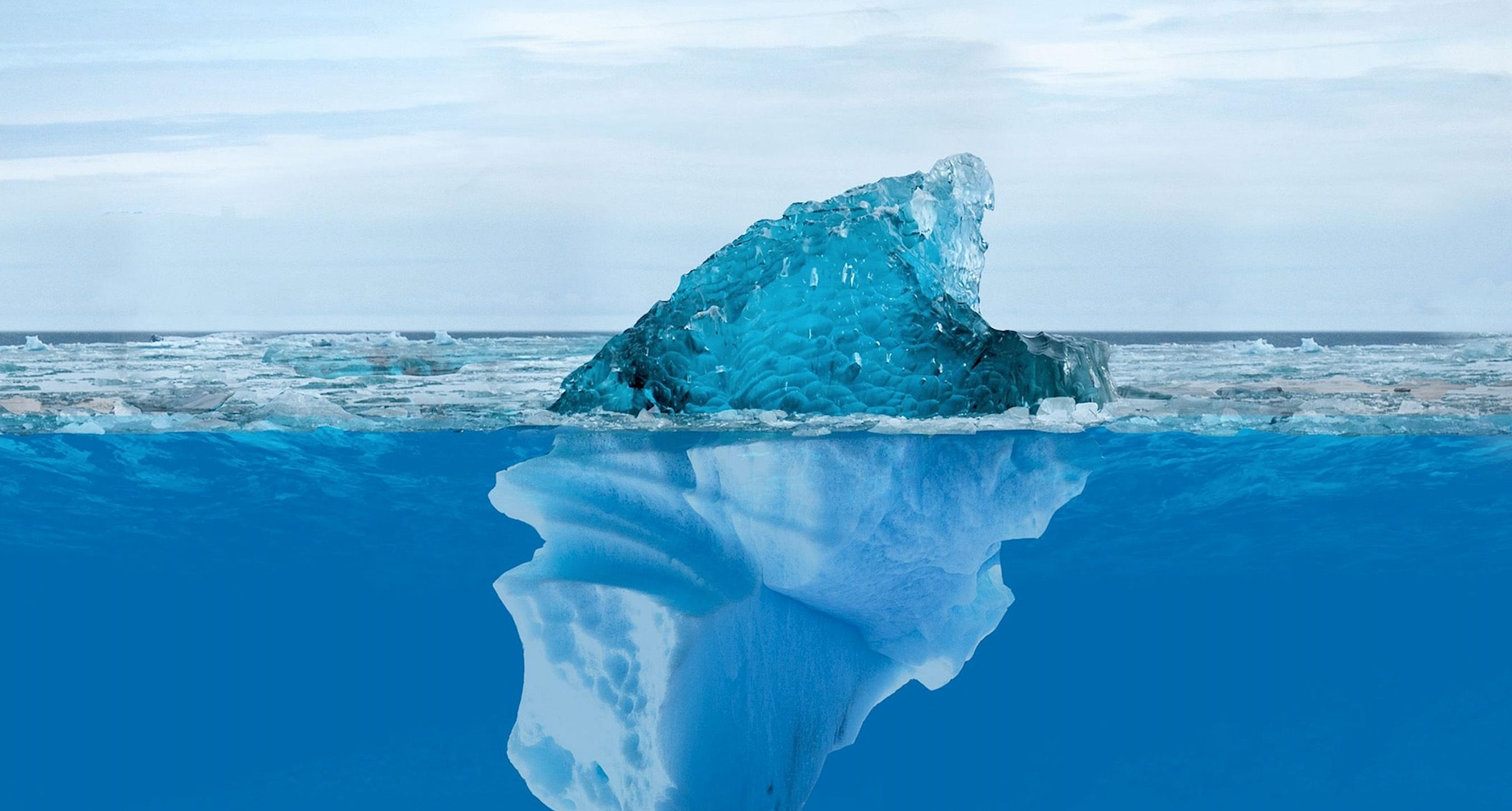Why Leaders Miss What Employees Know: Melting the Iceberg of Ignorance Before It Melts You