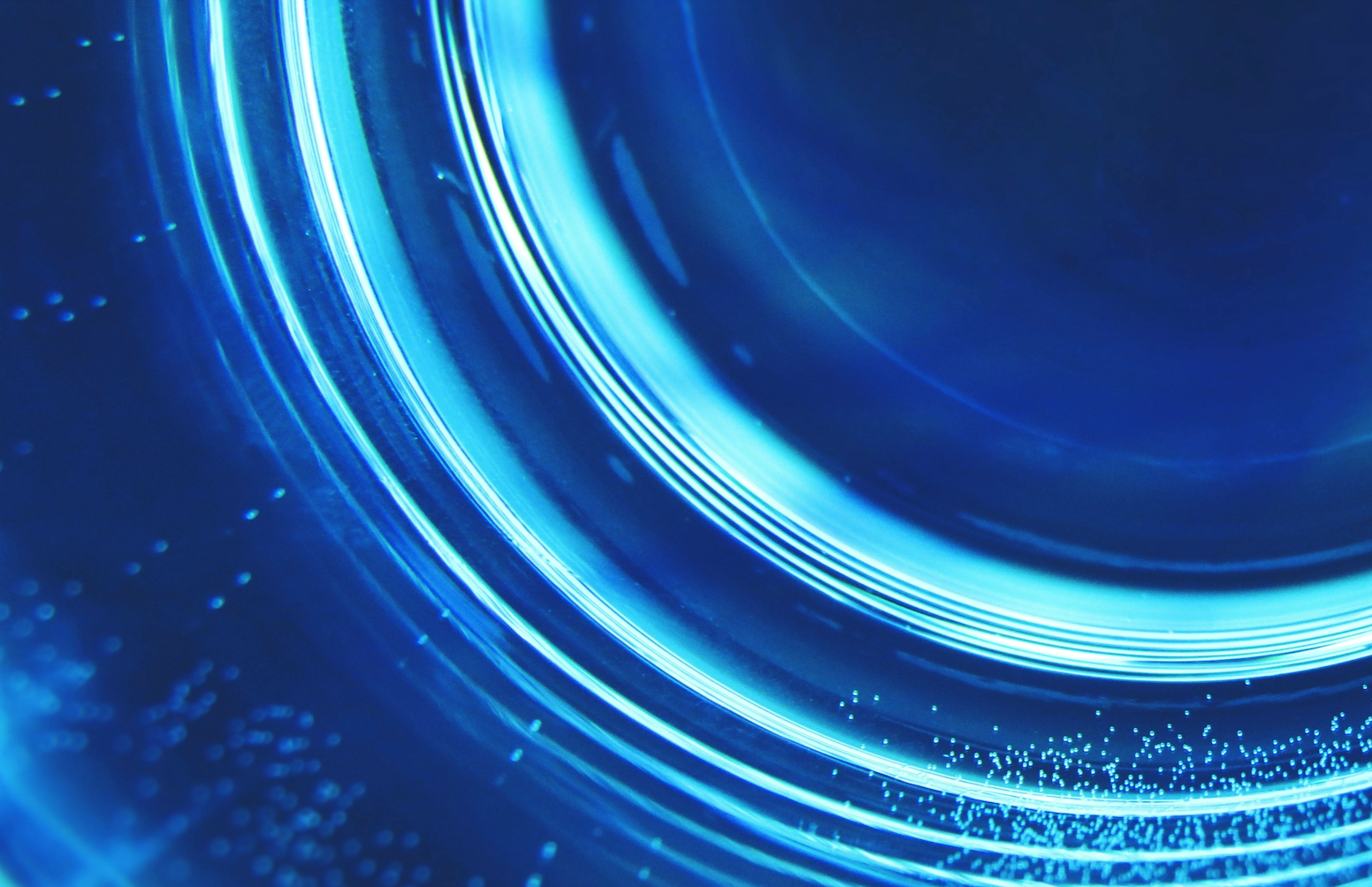 Is AI the Next Dot-Com Bubble? Signs of a Tech Boom (or Bust)