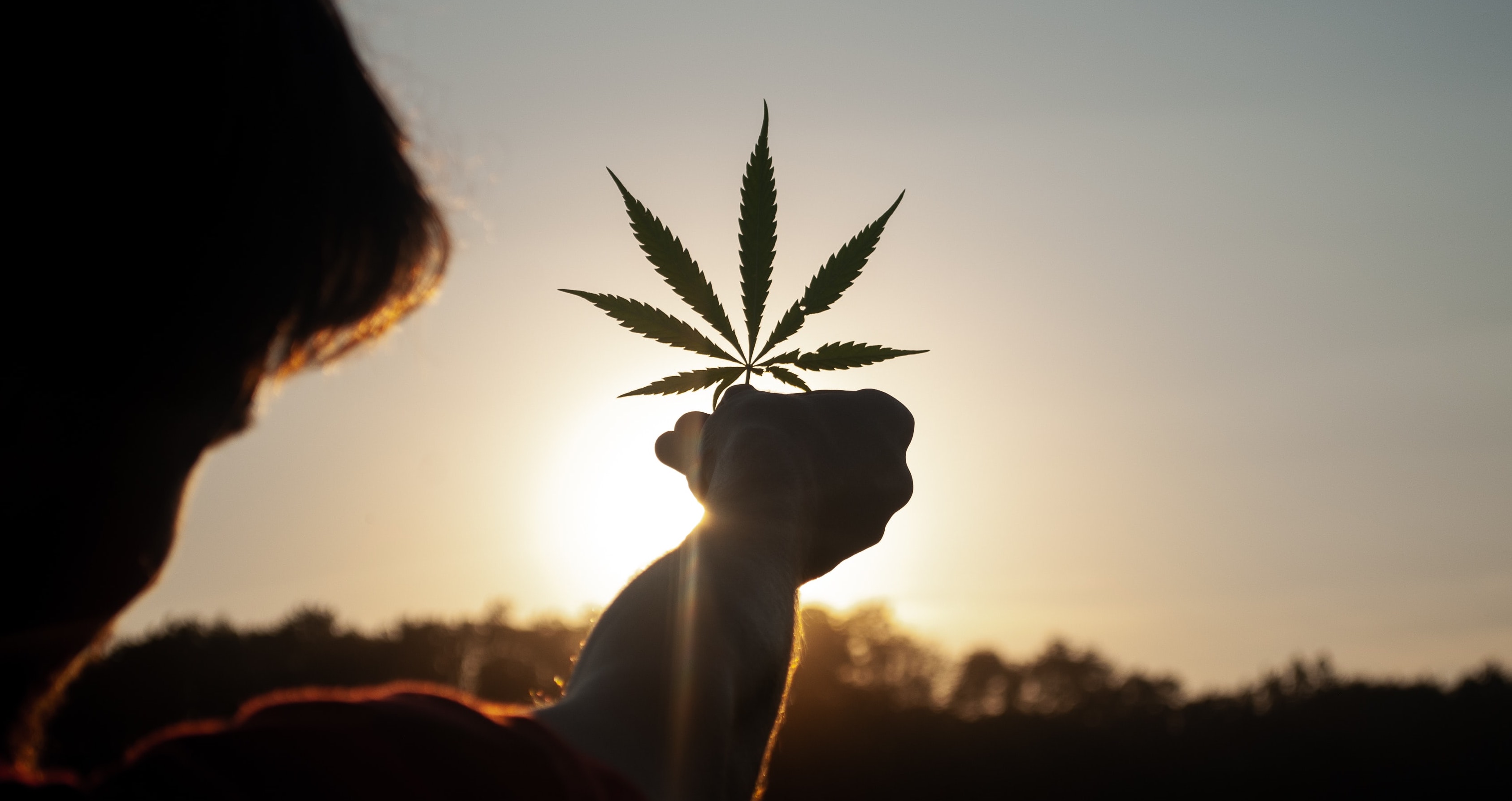 SNDL Stock: How Has Sundial Growers Diluted Shareholder Wealth?