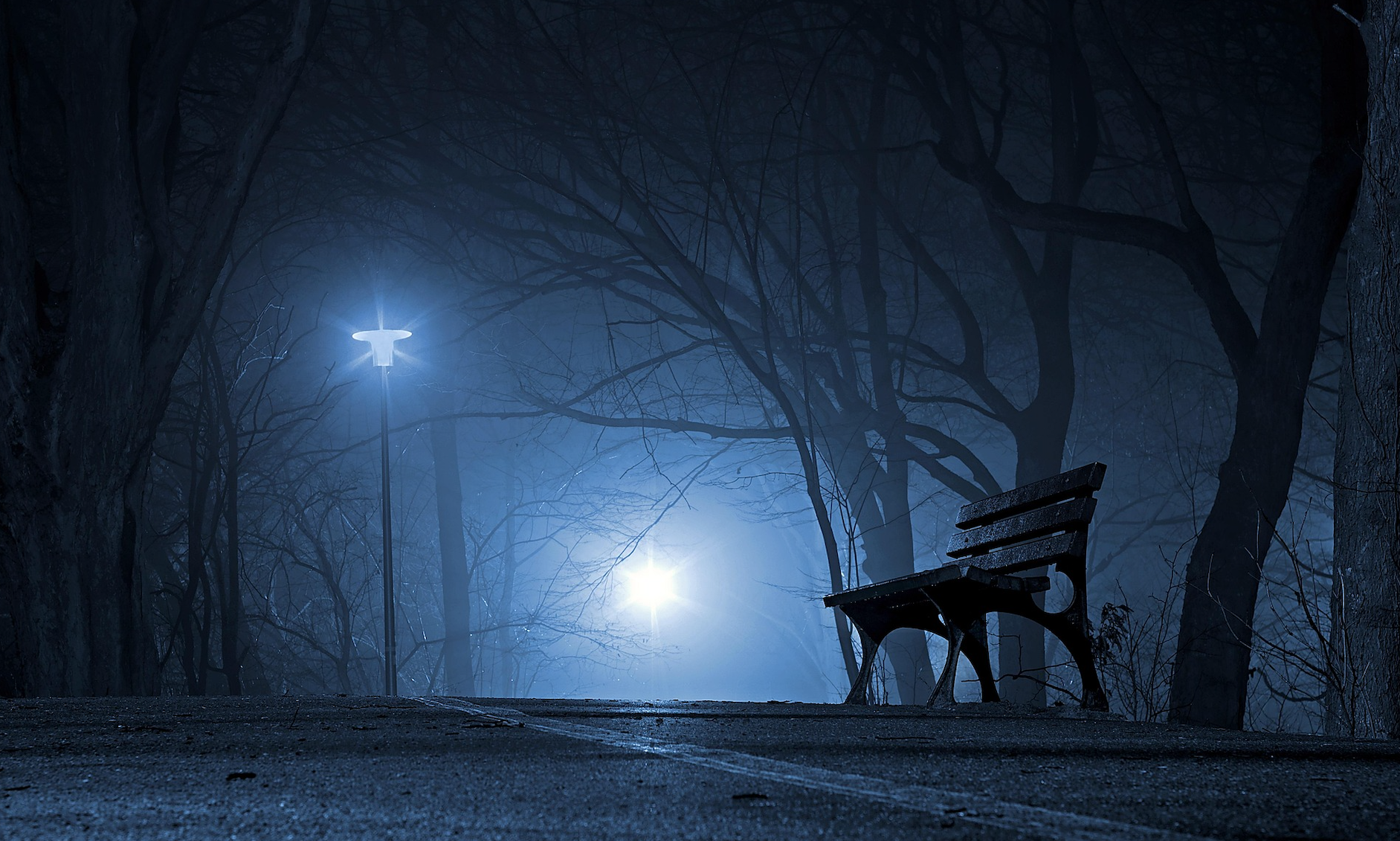 Markets Rally in the Dark: Why Investors Shrugged off the Government Shutdown