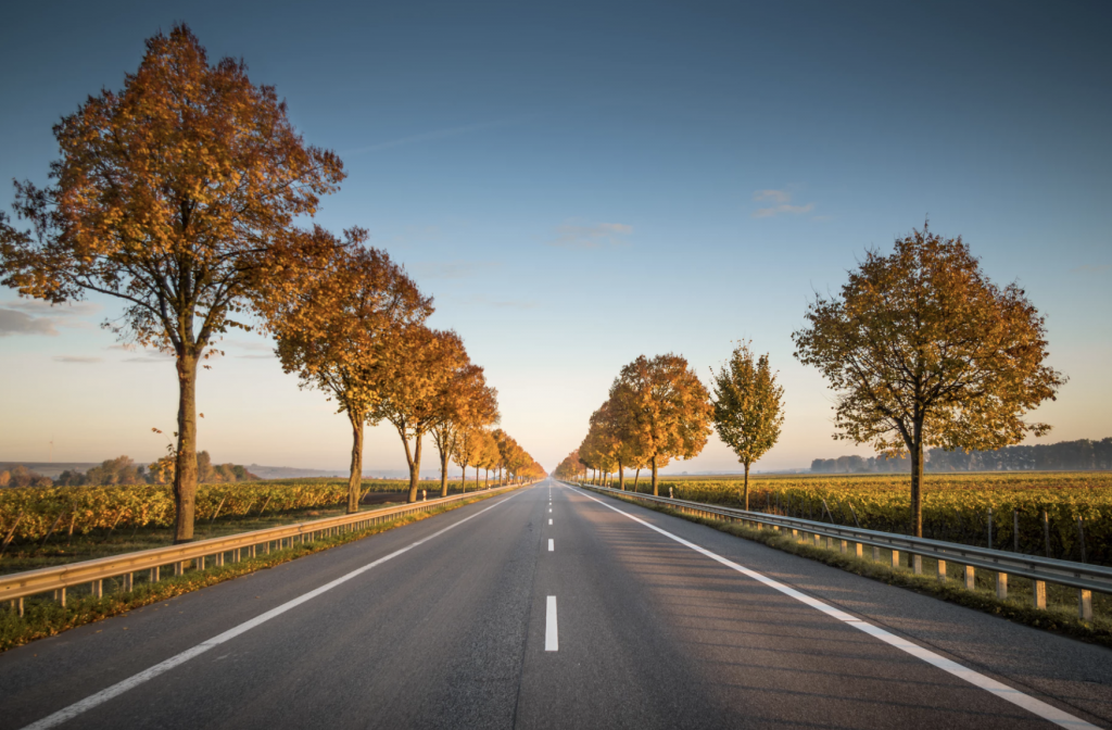 Beware The Risks of Arrogance and Pride in Business