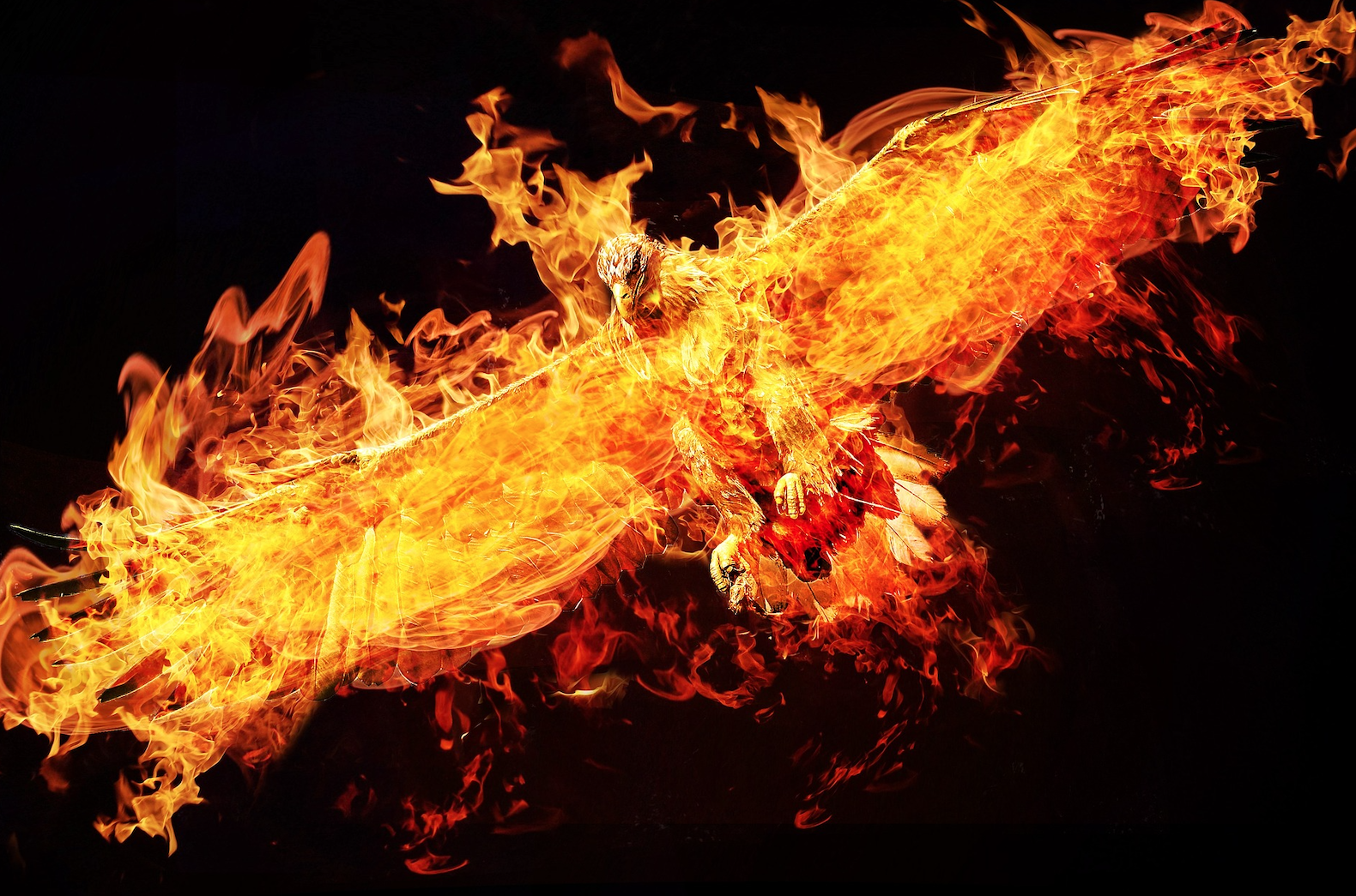 Rebuilding After the Fall: Strategies for Rising Stronger
