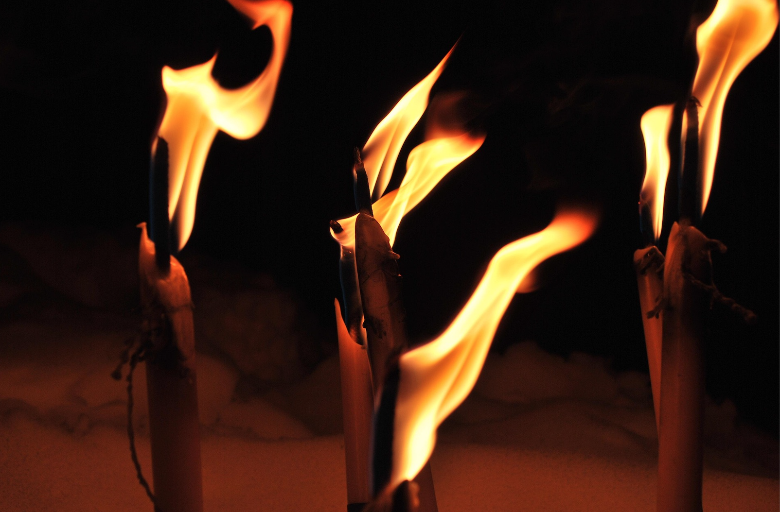 What I Learned Letting Go: The Emotional Side of Passing the Torch