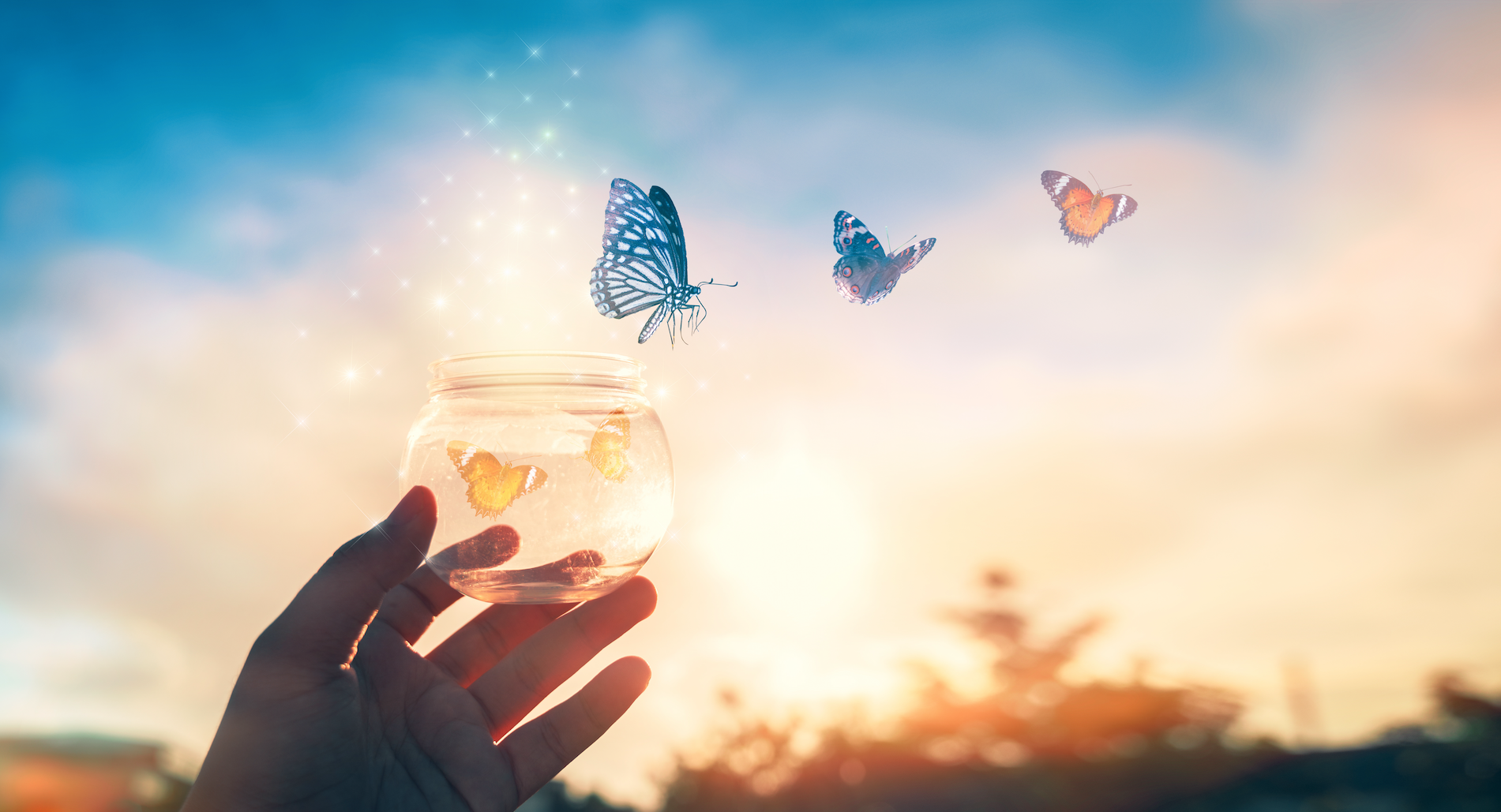 Why 2026 Could Be a Turning Point for Hope, Renewal, and a Better Society