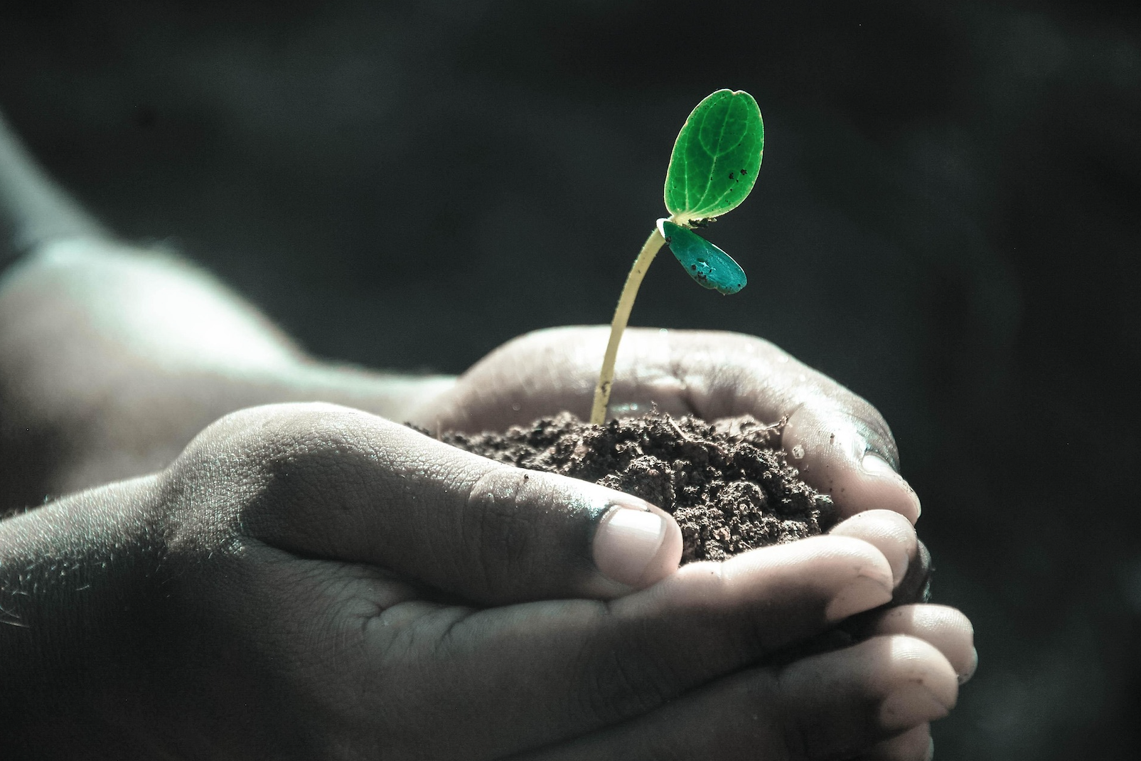 The Smart Way to Build an Emergency Fund Without Derailing Your Retirement