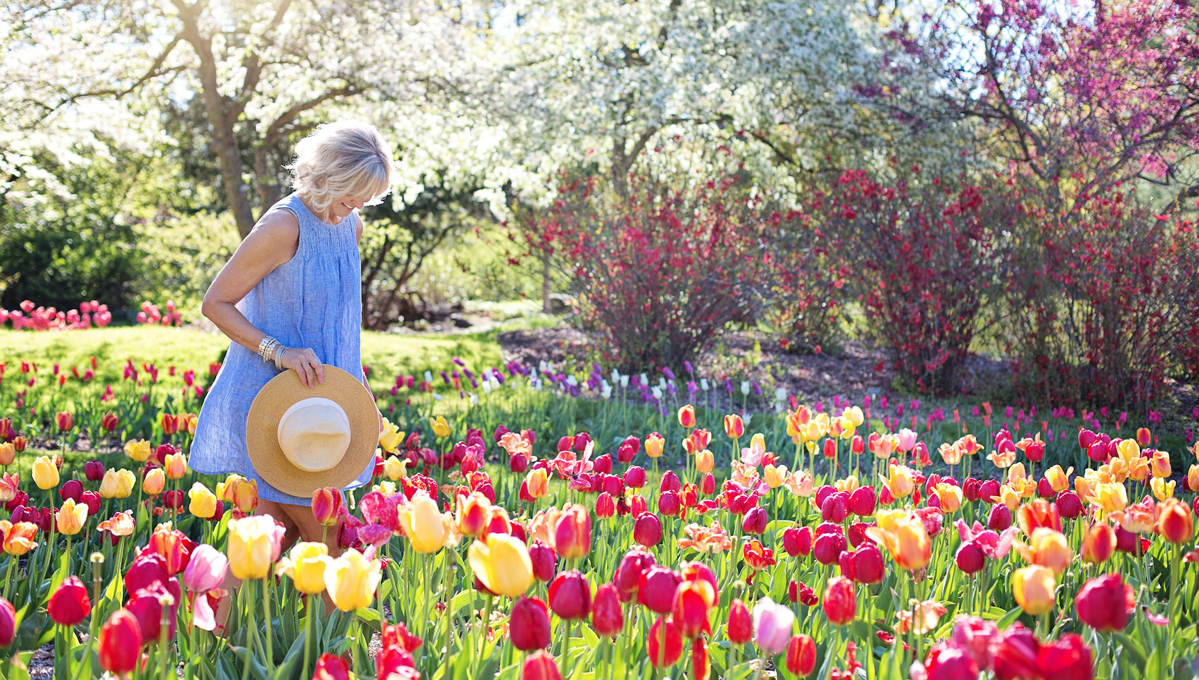 How to Plant the Seeds for Better Portfolio Returns in 2025