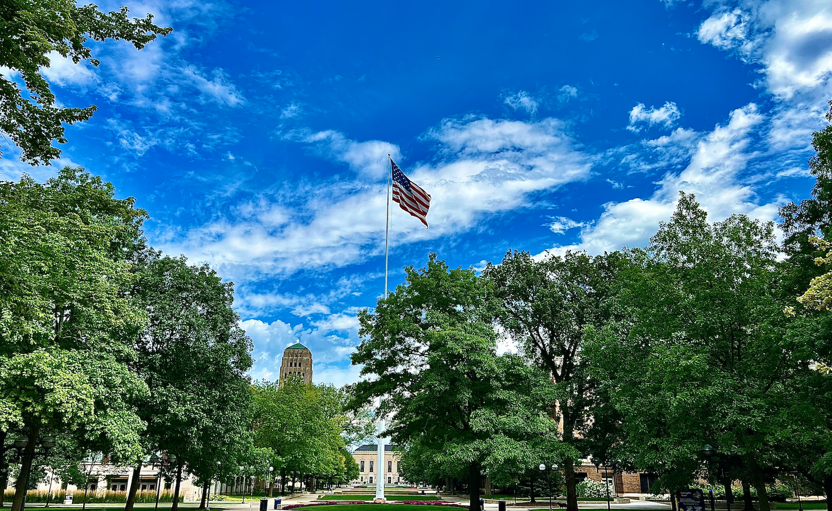 University of Michigan Inflation Expectations May Oddly Signal Disinflation