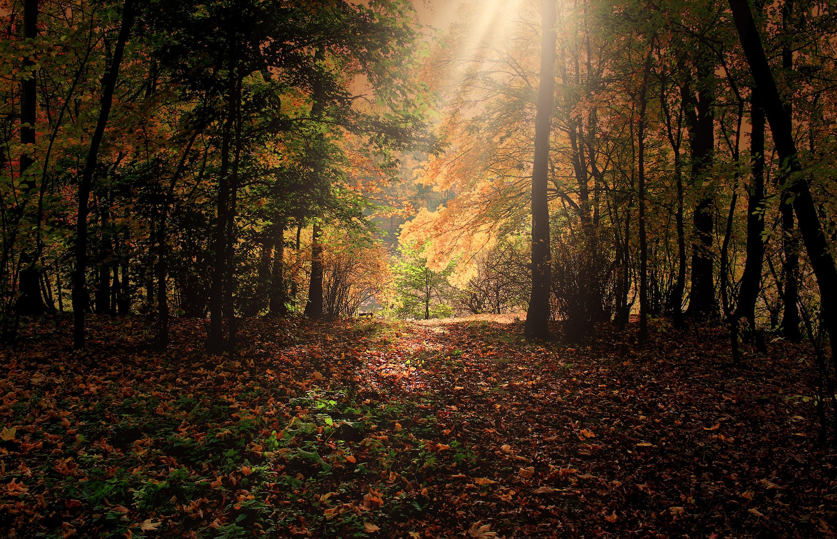 Fall Forecast: Why Pessimism, Powell, and Politics Could Fuel a Market Surprise