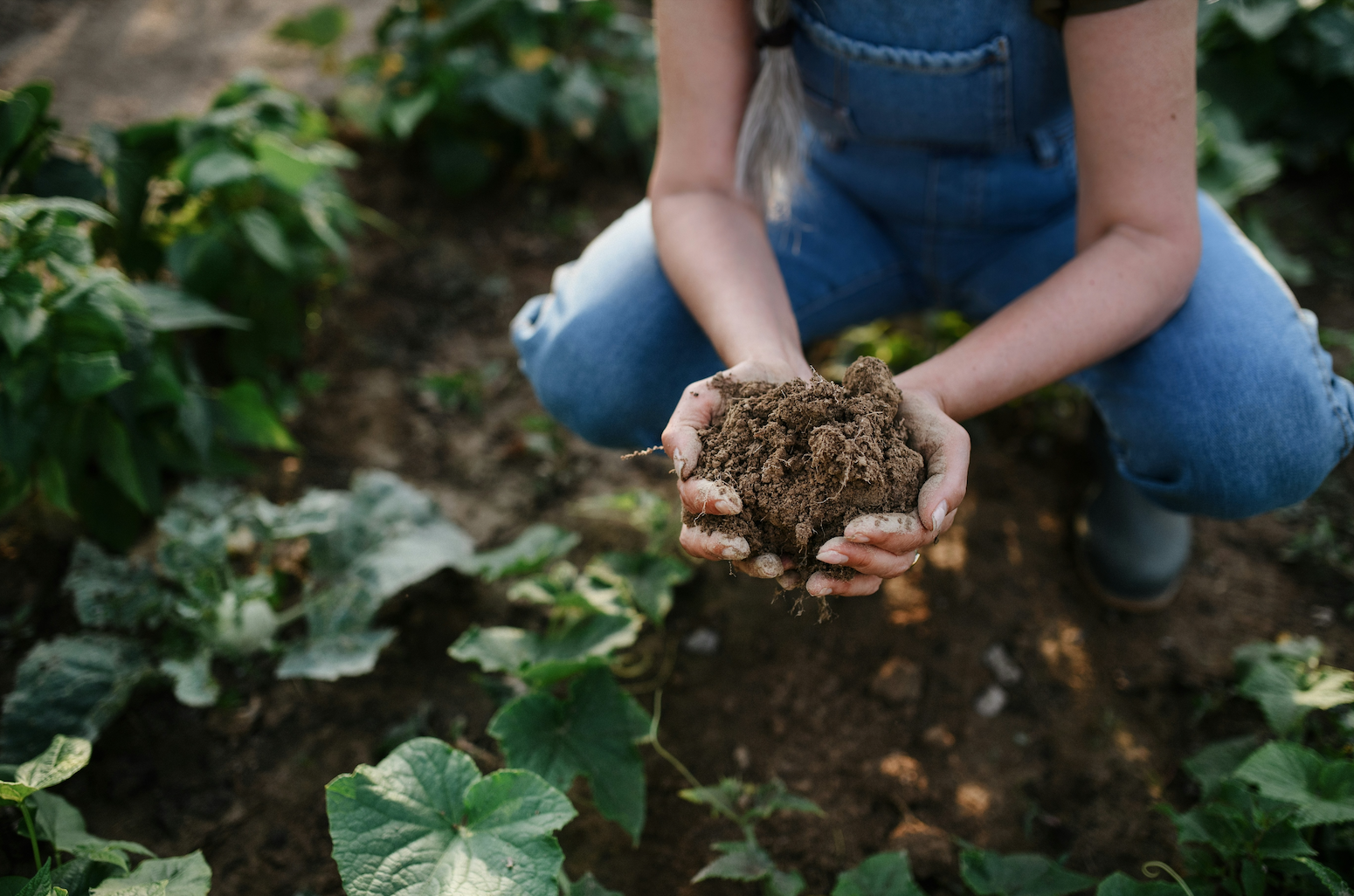Your Culture Is Depleted Soil—Here’s How Leaders Make It Fertile Again