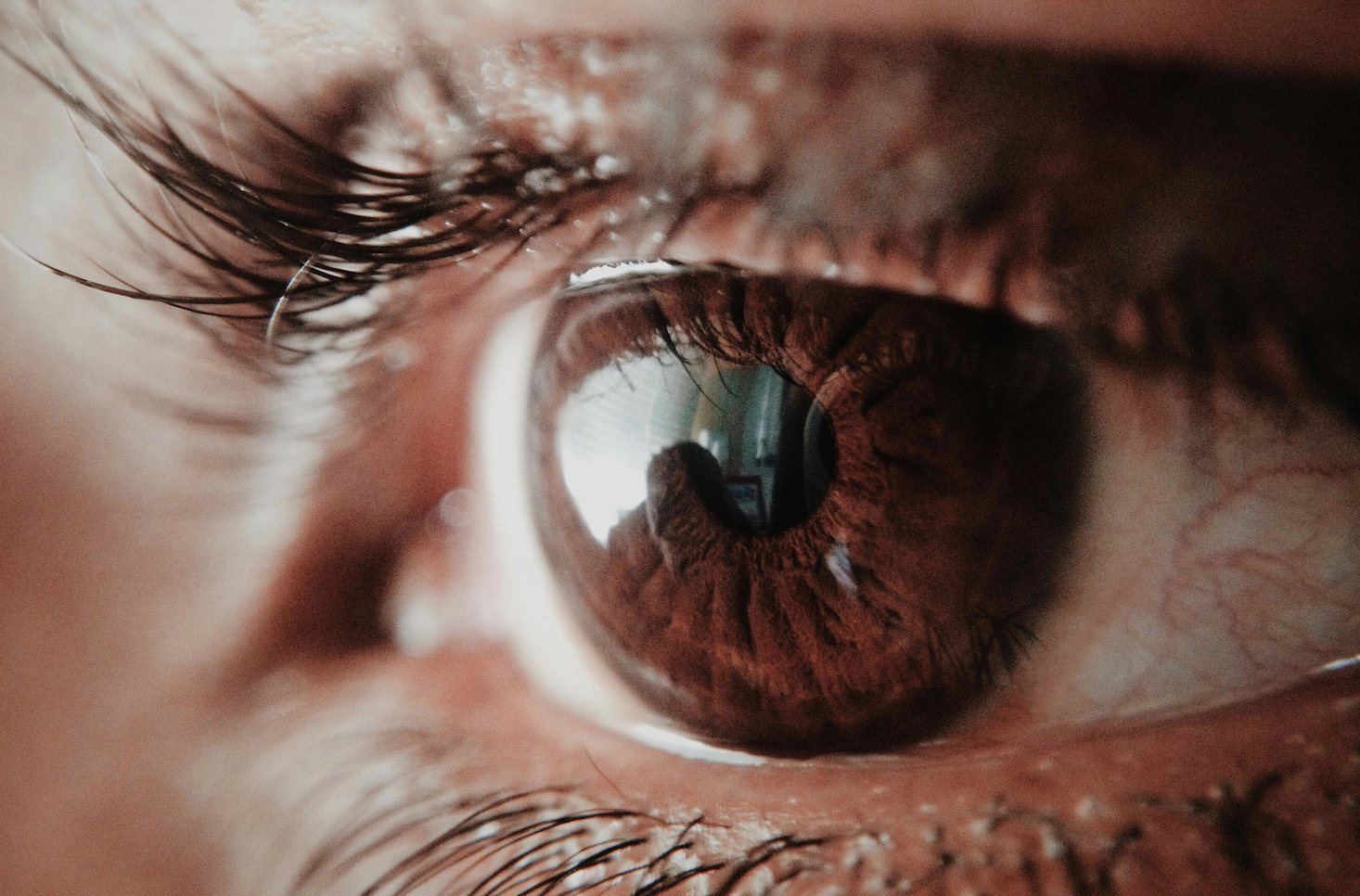 Corporate Vision vs. Culture Vision: Understanding Their Roles in Business Success